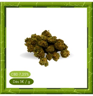 SMALL BUD WHITE WIDOW - FLEUR DE CBD - BIENFAITSCBD.FR