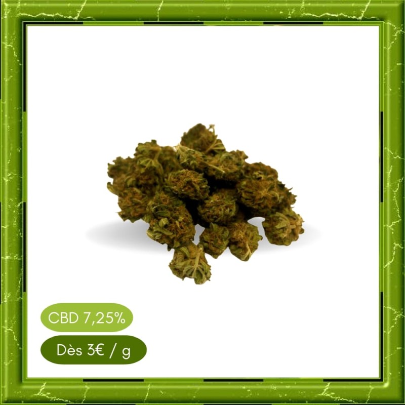 SMALL BUD WHITE WIDOW - FLEUR DE CBD - BIENFAITSCBD.FR