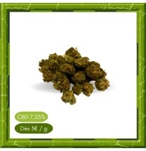 SMALL BUD WHITE WIDOW - FLEUR DE CBD - BIENFAITSCBD.FR