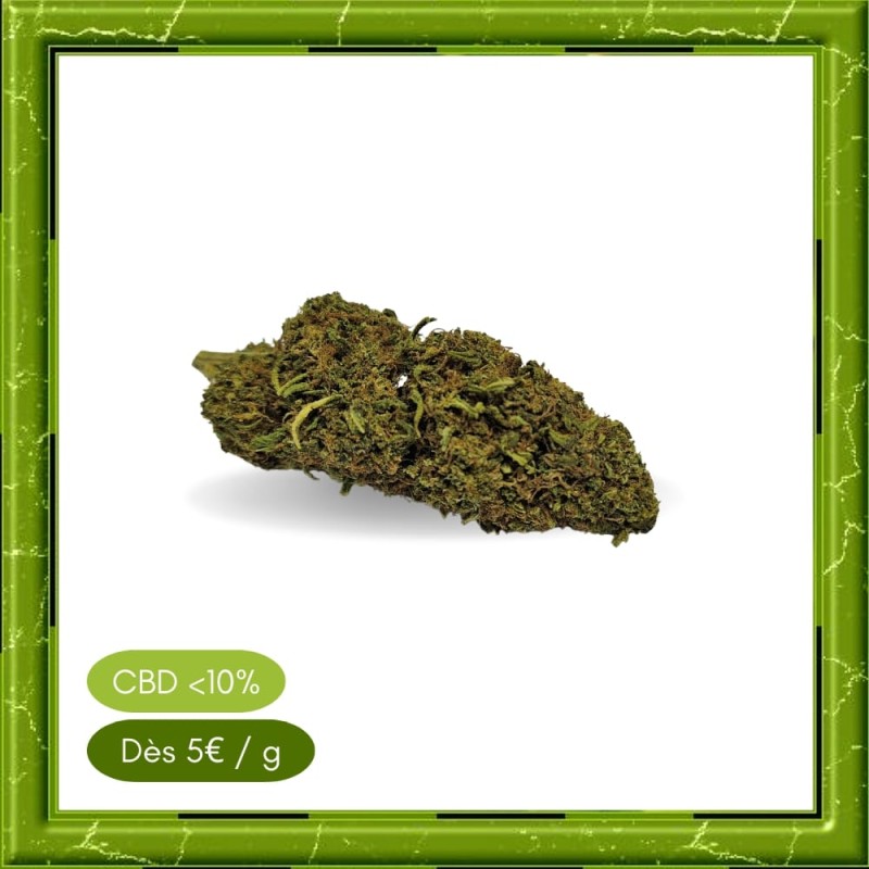 TANGERINE GREENHOUSE - FLEUR DE CBD - BIENFAITSCBD.FR