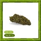 TANGERINE GREENHOUSE - FLEUR DE CBD - BIENFAITSCBD.FR