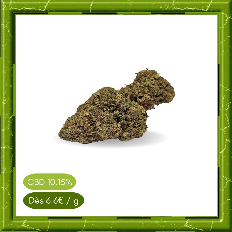 AMNESIA INDOOR - FLEUR DE CBD - BIENFAITSCBD.FR