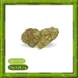 CARAMEL CANDY INDOOR - FLEUR DE CBD - BIENFAITSCBD.FR